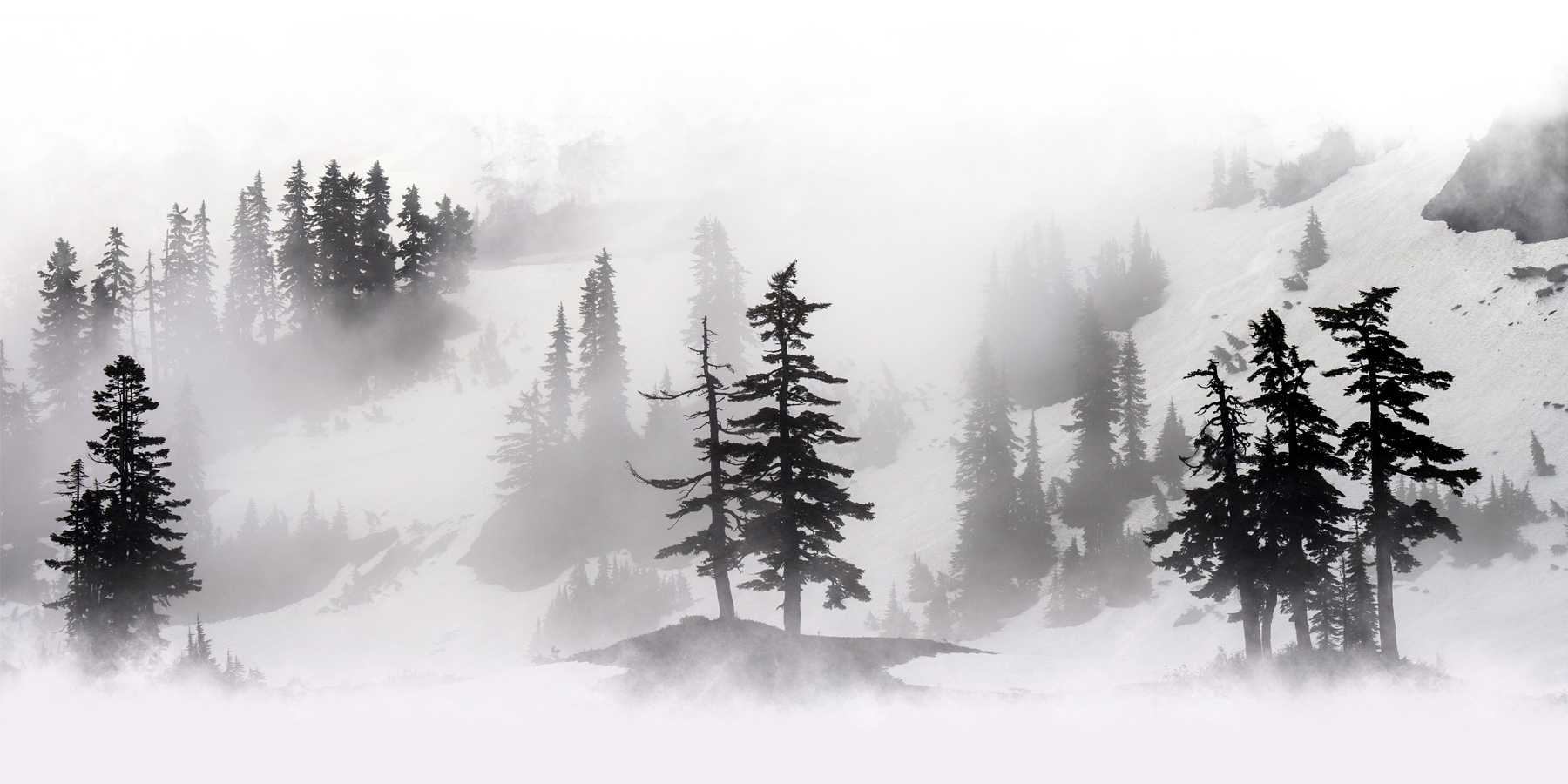 Mazda CX-50 Tasting Wild – Glaciers & Lakes – Snowy Forest Mazda CX-50 Tasting Wild – Glaciers & Lakes – Snowy Forest